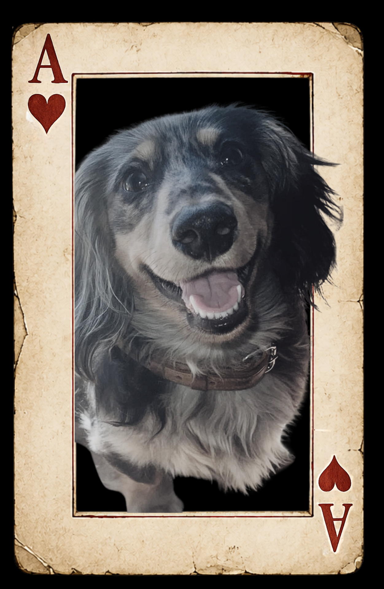Chip — Ace of Hearts